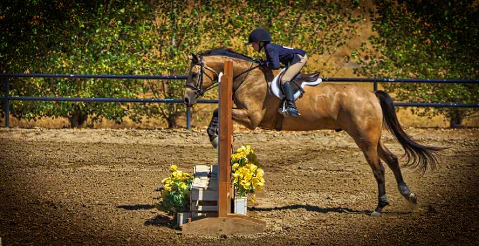 Horse and rider clearing a jump in an outdoor arena
